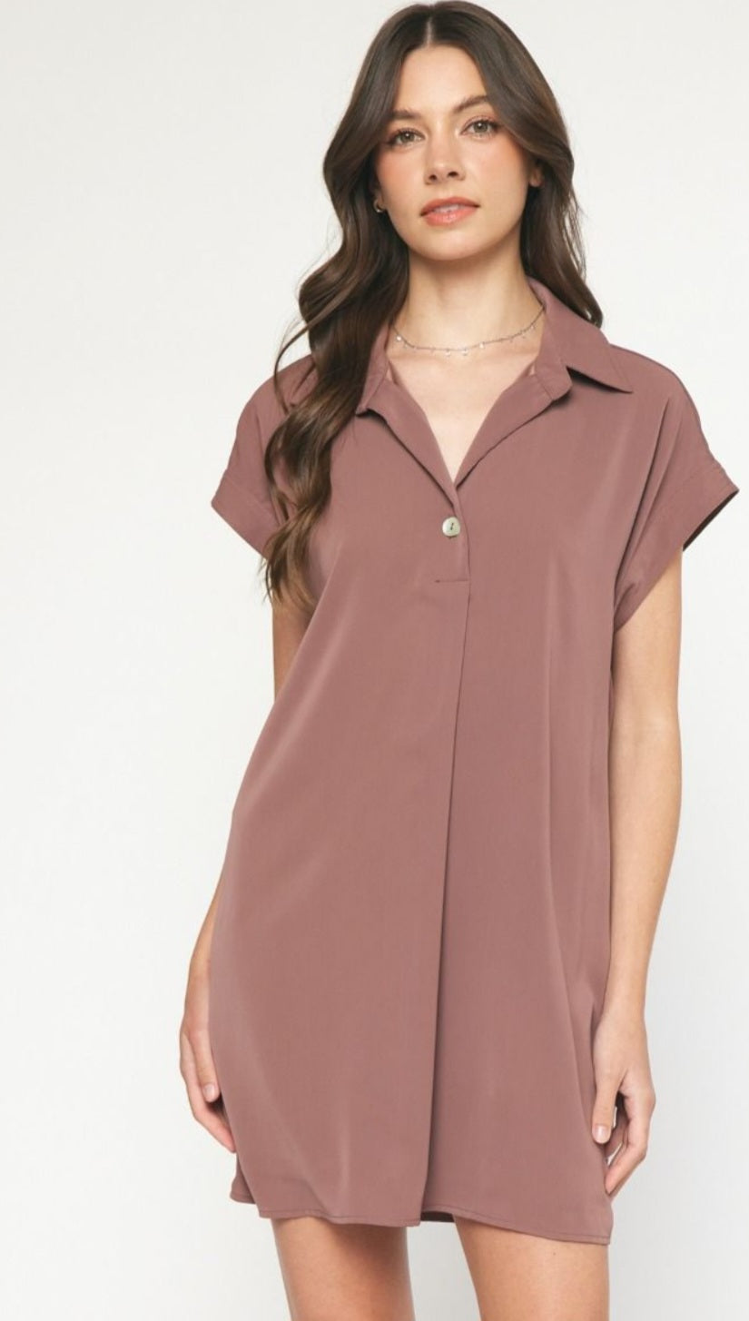 Ash Brown Collared Short Sleeve Mini Dress